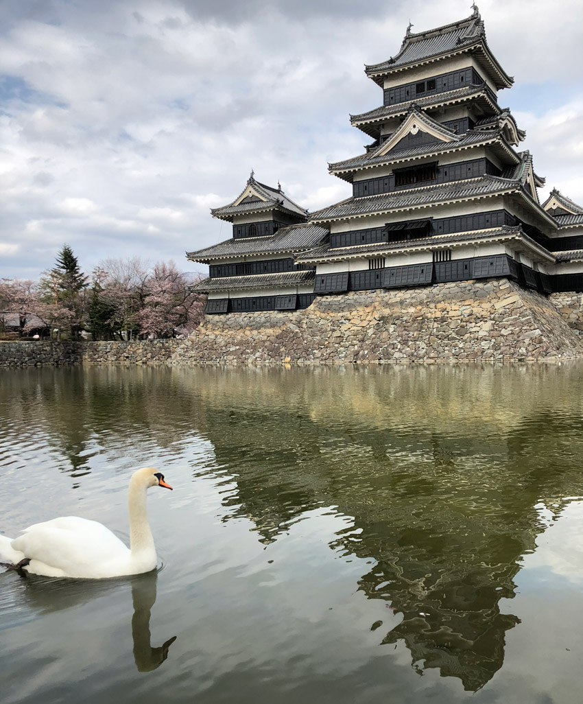 [連結複合式の名城]戦国期から現代にその歴史を伝える松本城