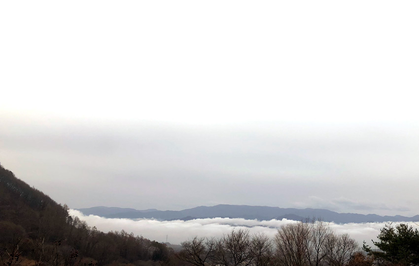 [松尾城跡]上田城に移る前の、真田氏の本城跡